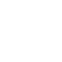 icon1